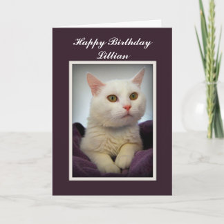 Lillian Happy Birthday White Cat Kaart