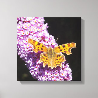 Lillic Flower met een vlinder erop Canvas Afdruk