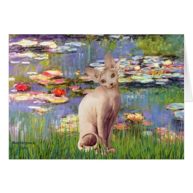 Lillies 2 - Crème Sphynx chat (Devant horizontal)