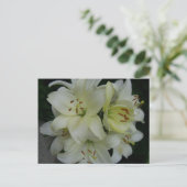 Lillies Briefkaart (Staand voorkant)