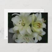 Lillies Briefkaart (Voorkant / Achterkant)