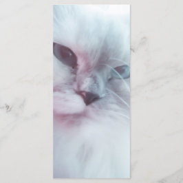 Lilly Bladwijzer Menu