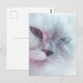 Lilly Briefkaart (Voorkant / Achterkant)