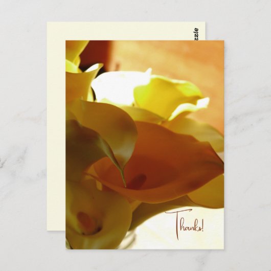 LILLY BRIEFKAART (Voorkant / Achterkant)