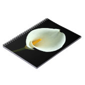 Lilly Carnet (Côté gauche)