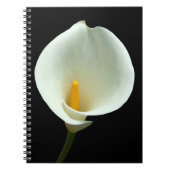 Lilly Carnet (Devant)