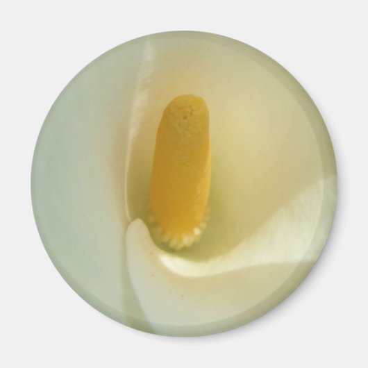 Lilly Centre Magnet (Devant)