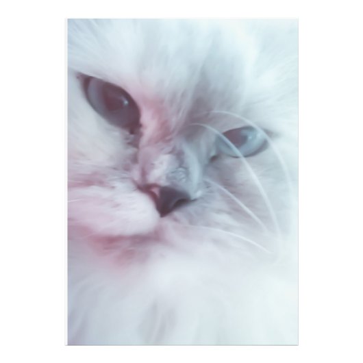 Lilly Foto Afdruk (Voorkant)