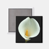 Lilly Magnet (Recto/Verso)