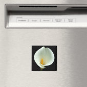 Lilly Magnet (In Situ (Lave-vaisselle))