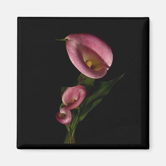 Lilly Magnet Magneet (Voorkant)