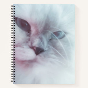 Lilly Notitieboek