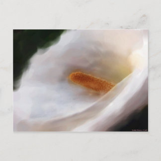 Lilly of the Nile Briefkaart