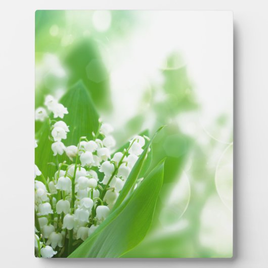 Lilly of the valley fotoplaat (Voorkant)