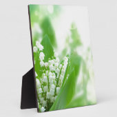 Lilly of the valley fotoplaat (Zijkant)