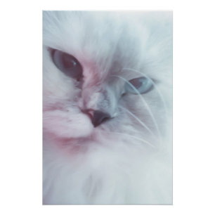 Lilly Perfect Poster