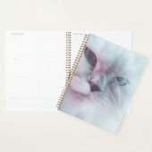 Lilly  planner (Display)