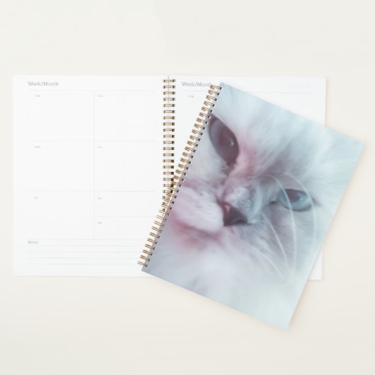 Lilly  planner (Display)