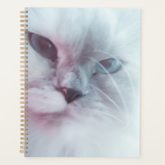 Lilly  planner (Voorkant)