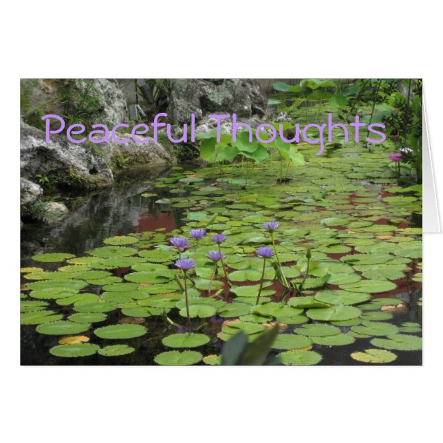 Lilly Pond (Devant horizontal)