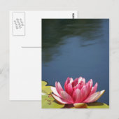 Lilly Pond Flowers Briefkaart (Voorkant / Achterkant)