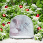 Lilly sneeuwbol (Kerstmis)