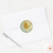Lilly Stickers (Envelop)