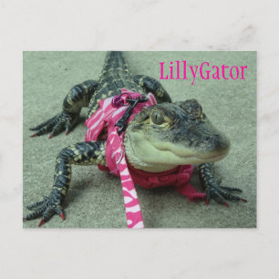 LillyGator Alligator Rescue Briefkaart