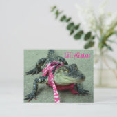 LillyGator Alligator Secourir carte postale (Debout devant)