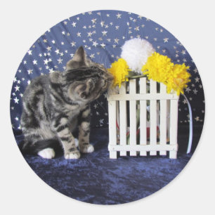 Lilo's Stop and Smell the Flowers - Cat / Kitten Ronde Sticker
