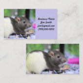 Lilrat Visitekaartje (Voorkant / Achterkant)