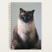 Lily (Devant)