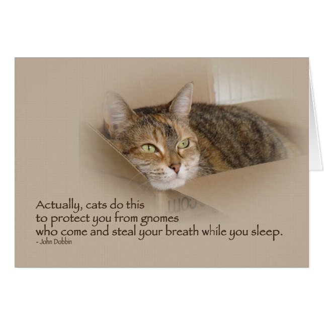 Lily #1 (Devant horizontal)