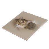 Lily #2 tegeltje (Zijkant)