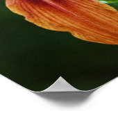 Lily 6588 Impression (Coin)