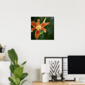 Lily 6588 Impression (Bureau à domicile)