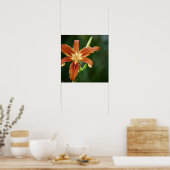 Lily 6588 Impression (Cuisine)