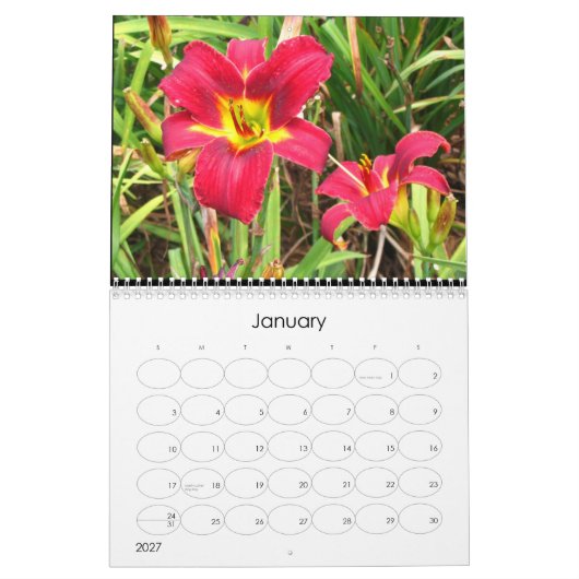Lily Agenda 2009-dag Kalender (Jan 2027)