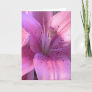 Lily All Purpose Wenskaart Kaart