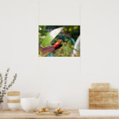 Lily Betle macro Print (Keuken)