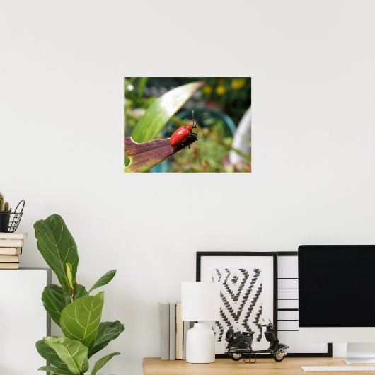 Lily Betle macro Print (Thuiskantoor)