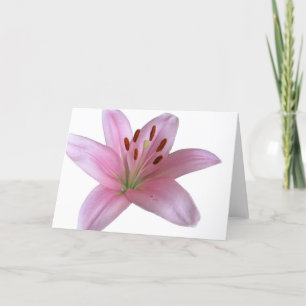 Lily - Blank groeten Kaart