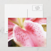 Lily Briefkaart (Voorkant / Achterkant)