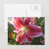 Lily Briefkaart (Voorkant / Achterkant)