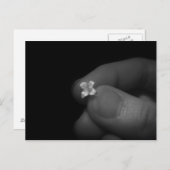 Lily Briefkaart (Voorkant / Achterkant)