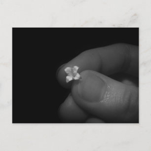 Lily Briefkaart