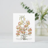 Lily Briefkaart (Staand voorkant)