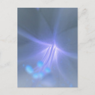 Lily Briefkaart omkeren