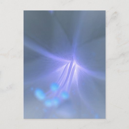 Lily Briefkaart omkeren (Voorkant)