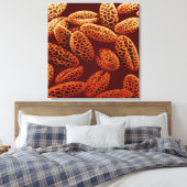 Lily Canvas Afdruk (Insitu (Slaapkamer))